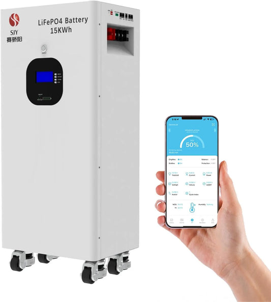 LiFePO4 16kWh 48V 314Ah 51.2 V Batterij Diepe Cycli Oplaadbare Batterij met 16S 200A BMS Lithium Batterij voor Zonnehuis LiFePO4 met 16kWh
